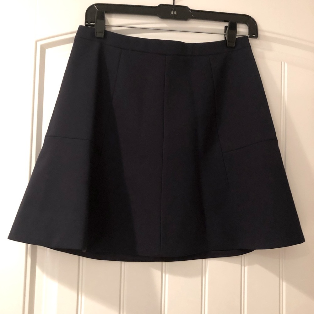 Navy Jcrew skirt